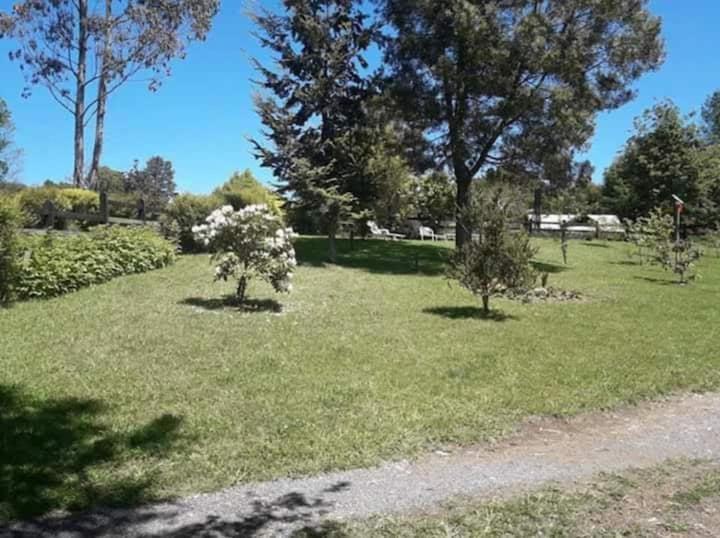 Dos, Villarrica-pucon, Pasos Del * Pucón